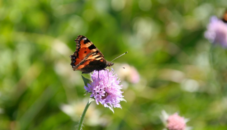 Professionelle Fotografie & Videografie