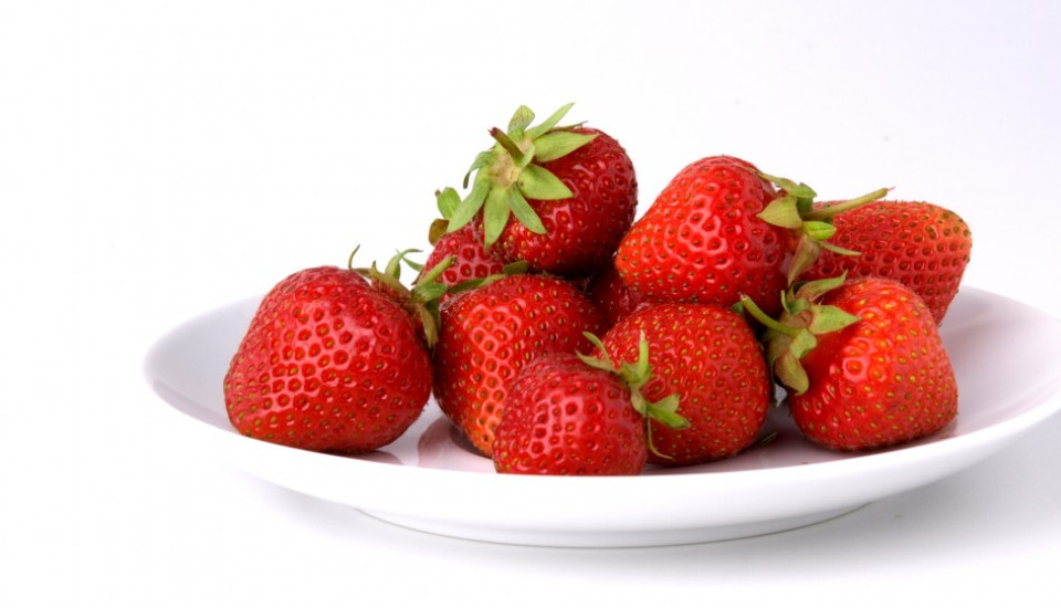 Professionelle Fotografie & Videografie