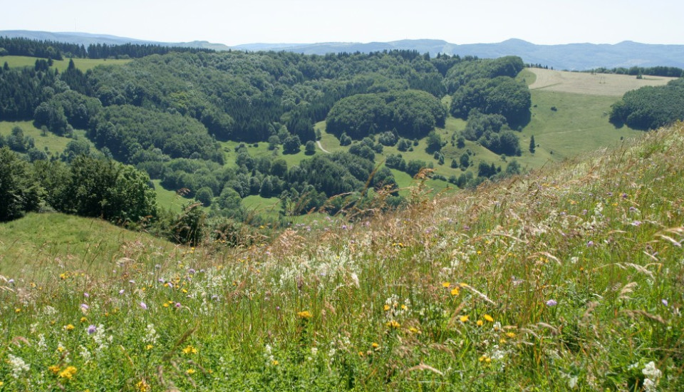 Professionelle Fotografie & Videografie