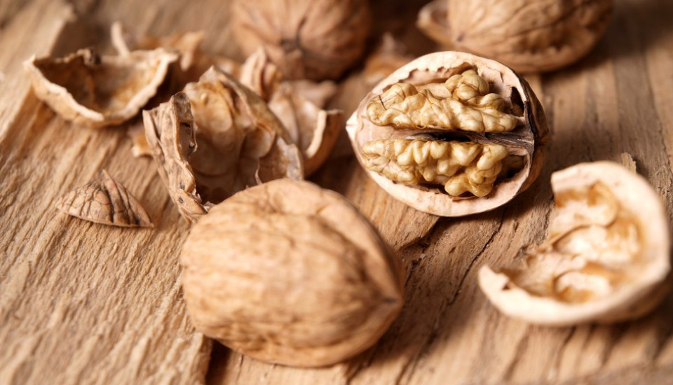 Professionelle Fotografie & Videografie